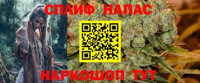 индика Будённовск