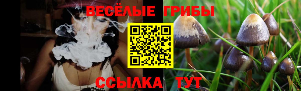 где купить наркоту  Галлюциногенные грибы мицелий  Симферополь  Вход с VPN  Галлюциногенные грибы Psilocybe 